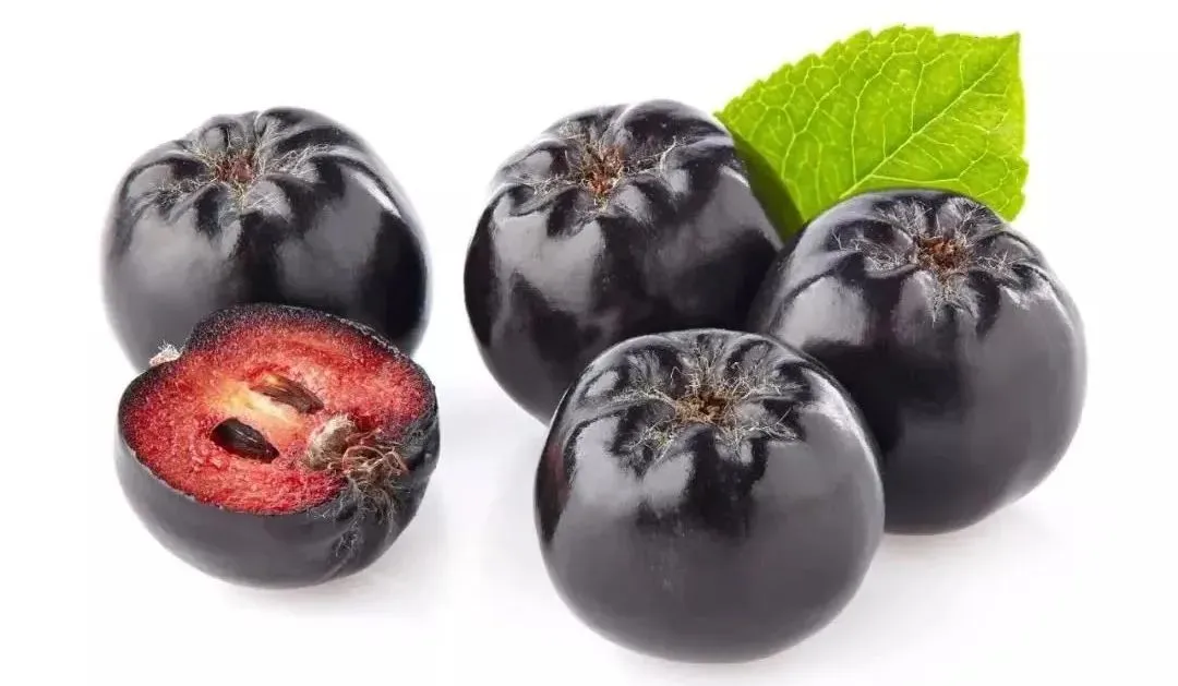 Aronia Extract Powder Aronia Extract Powder