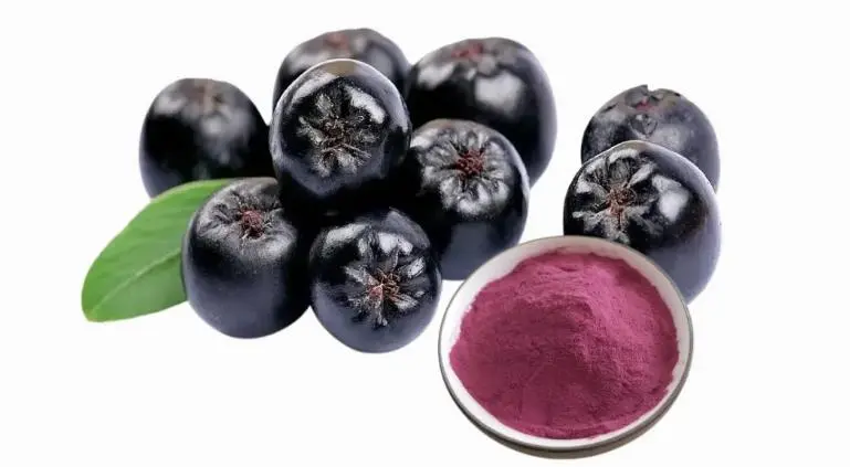 aronia extract powder aronia extract powder