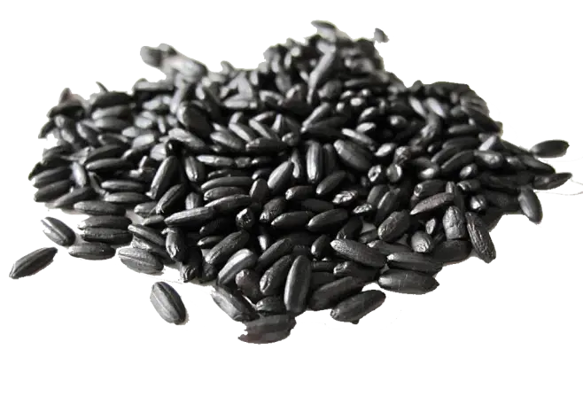 Black Rice Extract