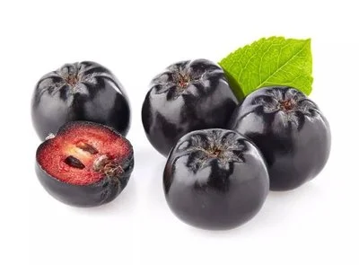 Aronia Extract Powder Aronia Extract Powder