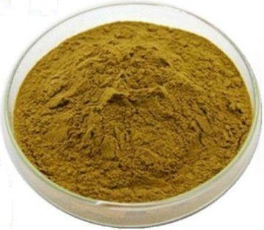 Polygonatum Officinale Rhizome Root Extract