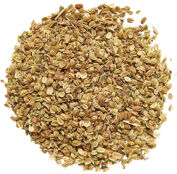 cnidium fruit extract cnidium fruit extract