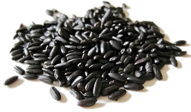 Black Rice Extract