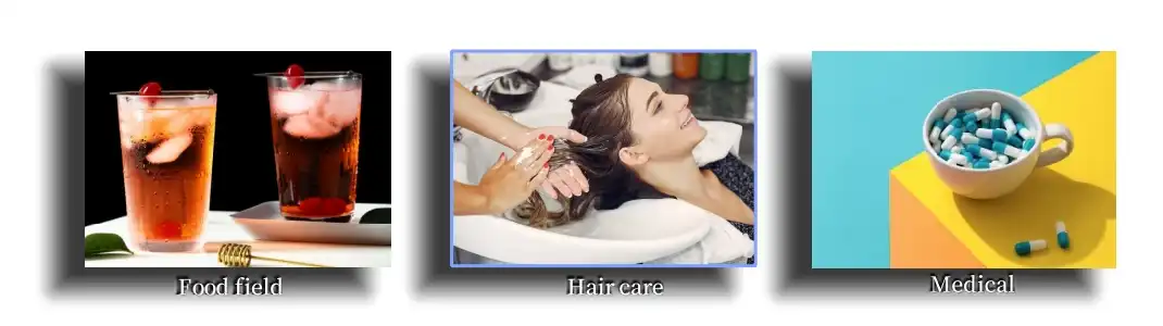 Application of Organic Ginger Extract Powder Application of Organic Ginger Extract Powder