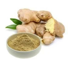Organic Ginger Extract Powder Organic Ginger Extract Powder