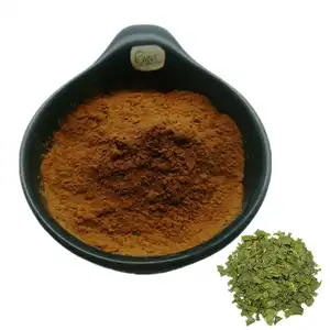 Mulberry Leaf Extract Powder Mulberry Leaf Extract Powder