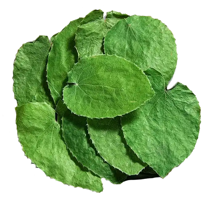 Mulberry Leaf Extract Powder Mulberry Leaf Extract Powder