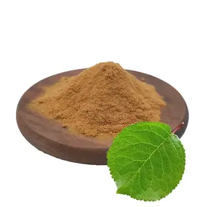 Mulberry Leaf Extract Powder Mulberry Leaf Extract Powder