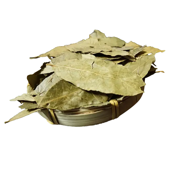 Mulberry Leaf Extract Powder Mulberry Leaf Extract Powder