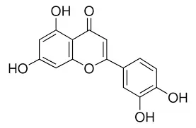 Luteolin Powder Luteolin Powder