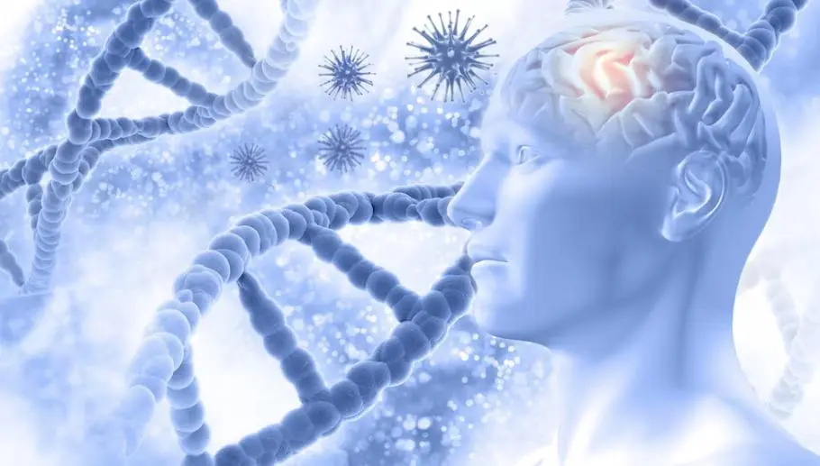 Memory Enhancement Memory Enhancement