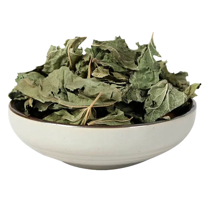 Mulberry Leaf Extract Powder Mulberry Leaf Extract Powder