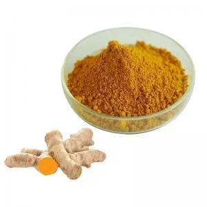 Turmeric Extract Powder Turmeric Extract Powder