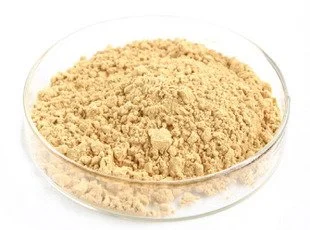Genistein Extract