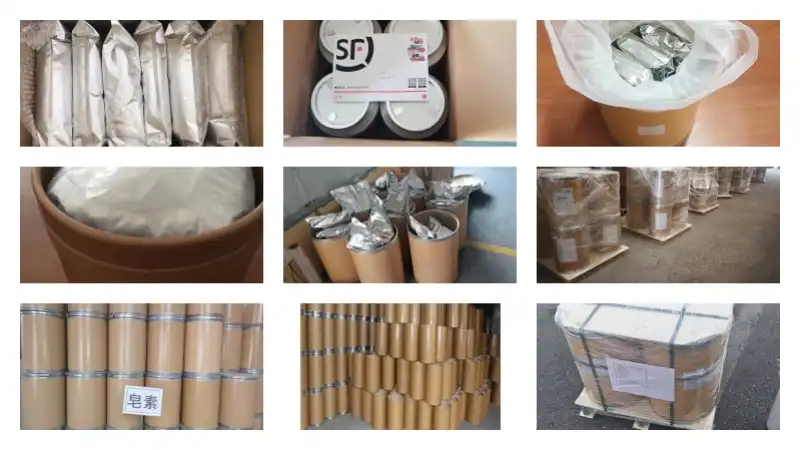 Monk Fruit Extract Powder Package Monk Fruit Extract Powder Package