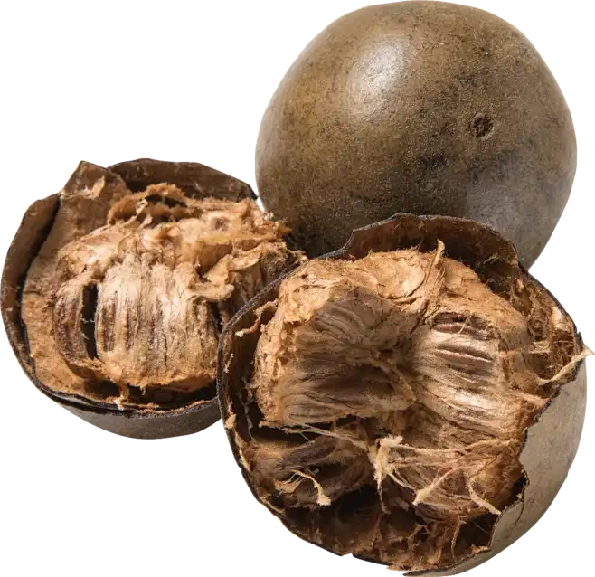 Organic Monk Fruit Extract Powder Organic Monk Fruit Extract Powder