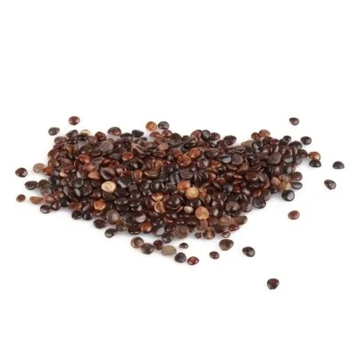 Hovenia Dulcis Extract Hovenia Dulcis Extract