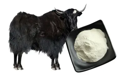 yak bone marrow peptide yak bone marrow peptide