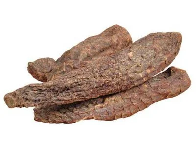 Cistanche Extract Cistanche Extract