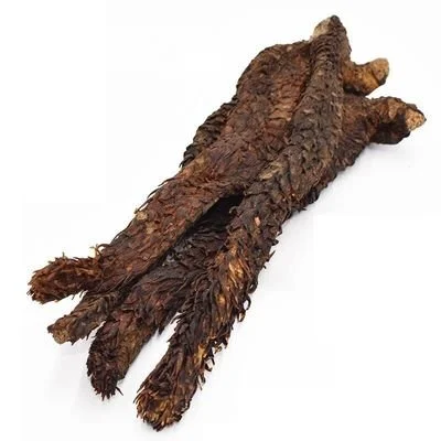 Cistanche Extract Cistanche Extract