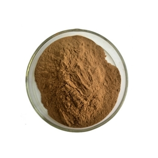 Cistanche Extract Cistanche Extract