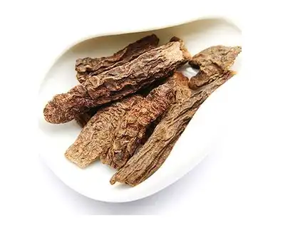 Cistanche Extract Cistanche Extract