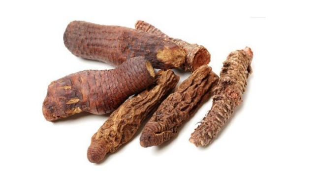 cistanche extract cistanche extract