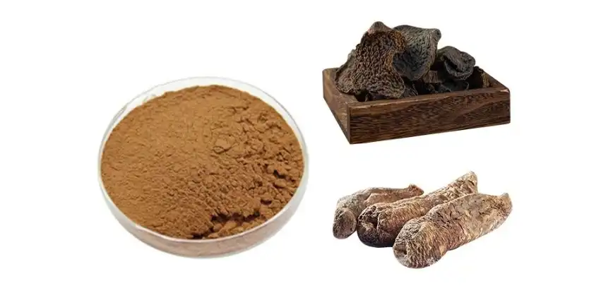 Cistanche Extract Cistanche Extract