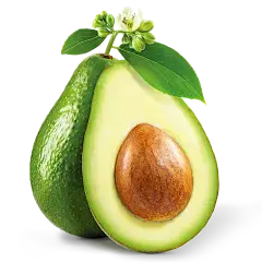 avocado powder avocado powder