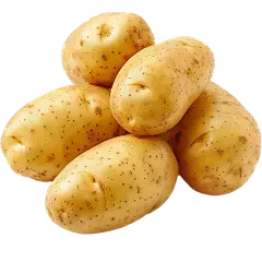 Potato Protein Powder