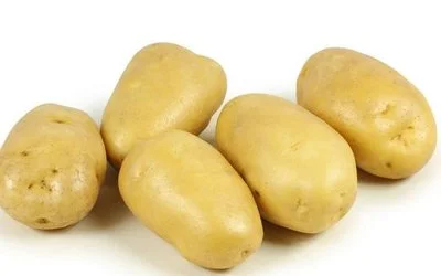 Potato Protein Potato Protein