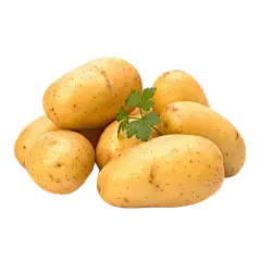potato protein powder