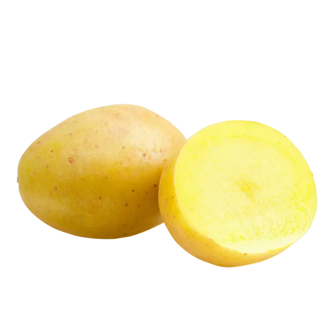 Potato Protein Powder