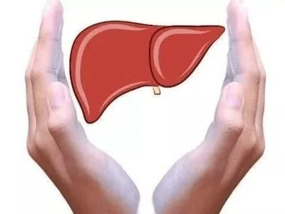 Liver Protection
