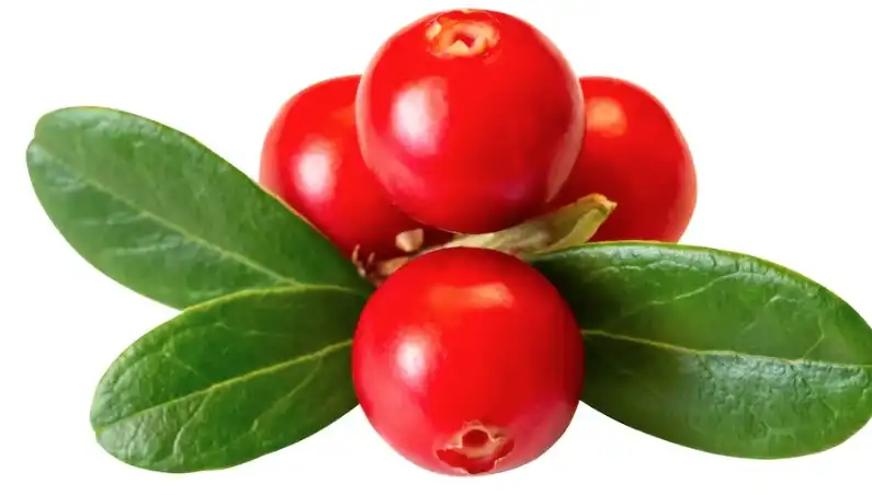 Alpha arbutin powder Alpha arbutin powder