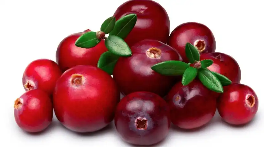 alpha arbutin powder alpha arbutin powder