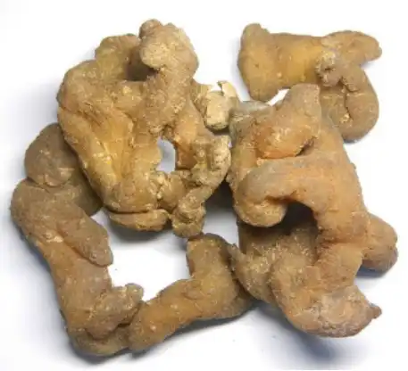 Polygonatum Officinale Rhizome Root Extract Polygonatum Officinale Rhizome Root Extract