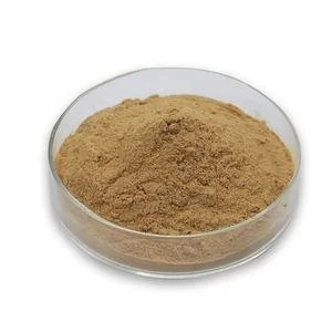 Polygonatum Officinale Rhizome Root Extract