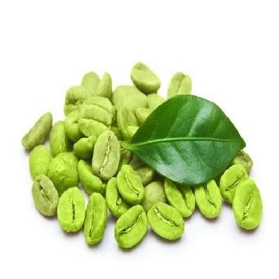 Green Coffee Bean Extract Powder Green Coffee Bean Extract Powder