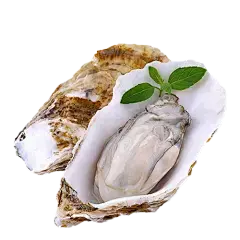 Oyster peptides Oyster peptides