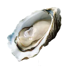 oyster peptide oyster peptide