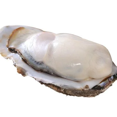 Oyster Peptide Powder
