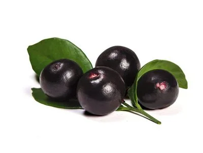 acai berry powder acai berry powder