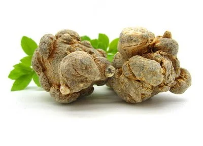 notoginseng saponins notoginseng saponins