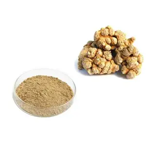 notoginseng saponins notoginseng saponins