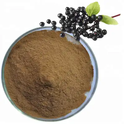 Elderberry Extract Powder Elderberry Extract Powder