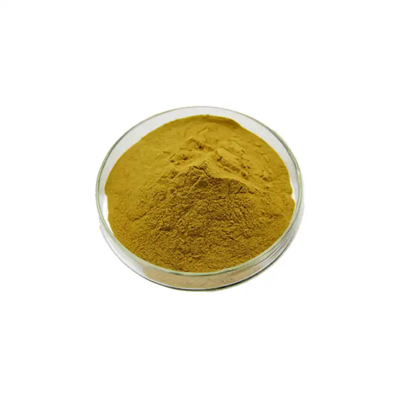 Elderberry Extract Powder Elderberry Extract Powder