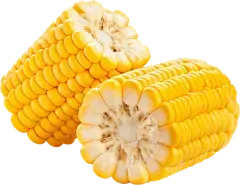 zein peptides zein peptides