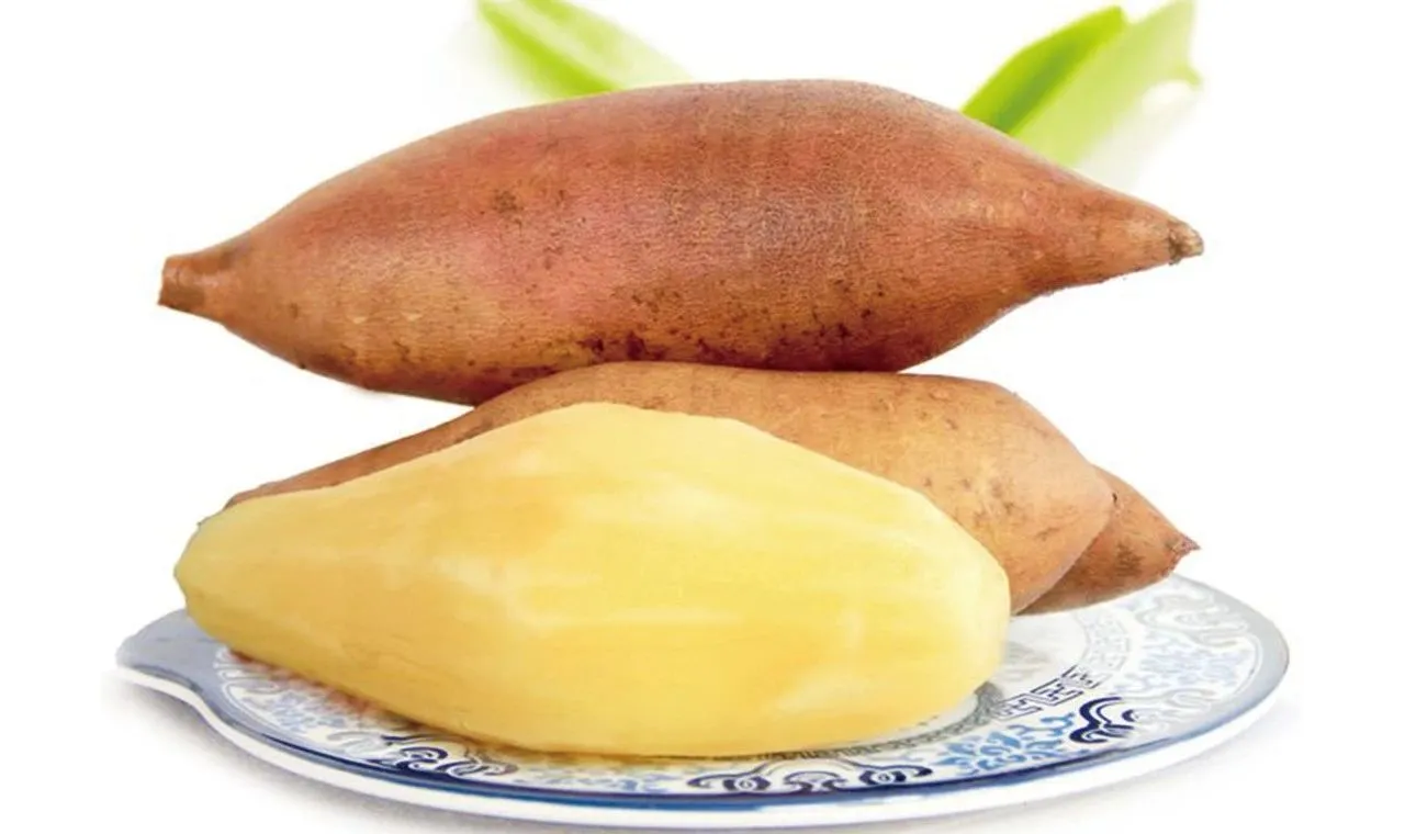 yacon powder yacon powder