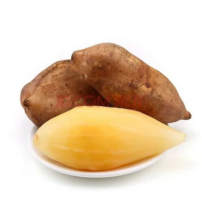 yacon powder yacon powder